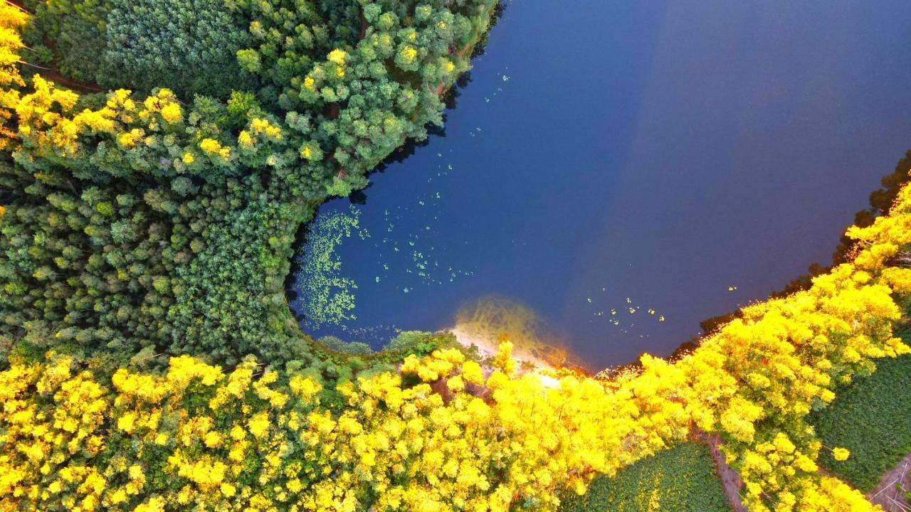 Over The River - Widok Na Rzeke, Przy Parku, Parking, Winda, Netflix I Max, Centrum Ілава Екстер'єр фото