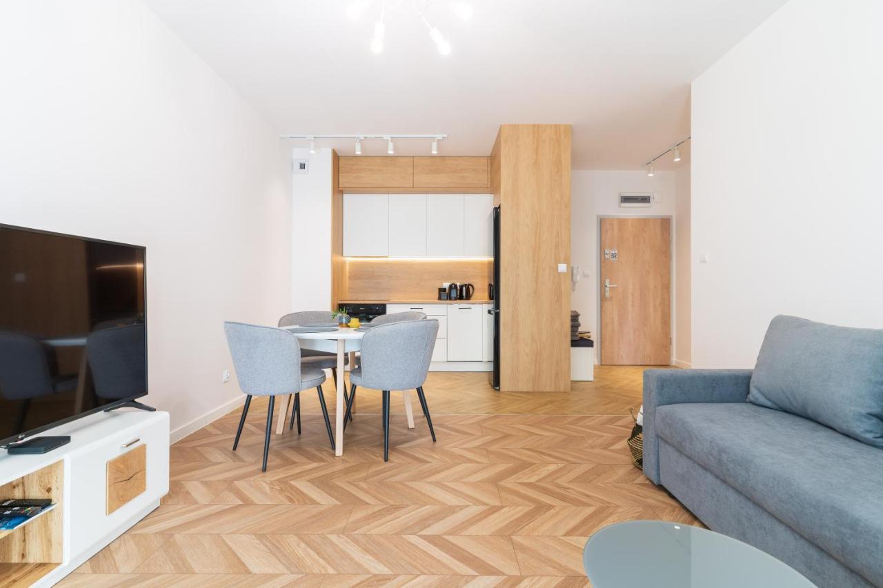 Over The River - Widok Na Rzeke, Przy Parku, Parking, Winda, Netflix I Max, Centrum Ілава Екстер'єр фото